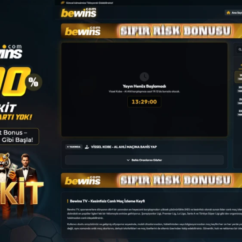Bewins ekran görüntüsü
